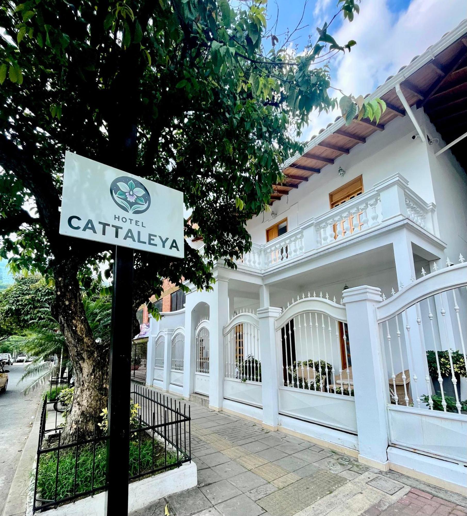 Hotel Cattaleya City Cali Εξωτερικό φωτογραφία